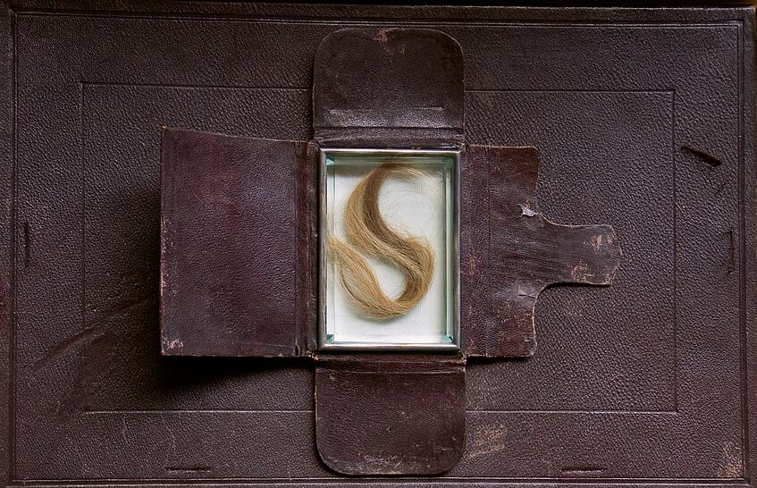 Locke von Albrecht Dürer. Eva Schober, CC BY 4.0 Locke von Albrecht Dürer